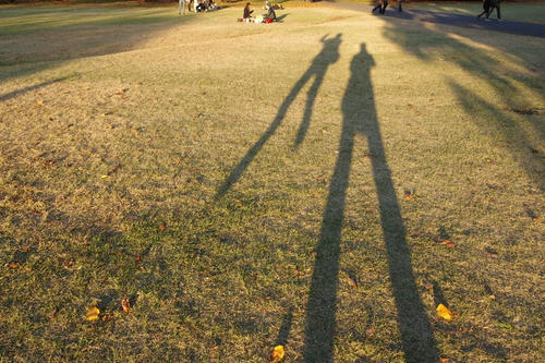 20121118
