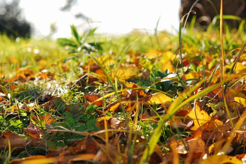 20121225
