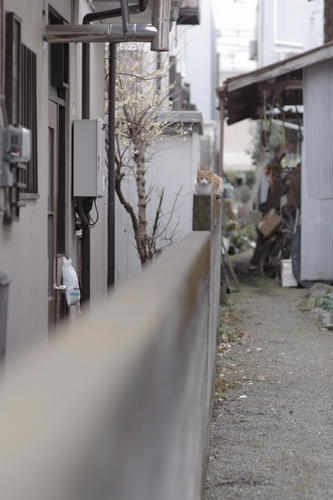 20130209