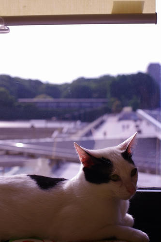20130525
