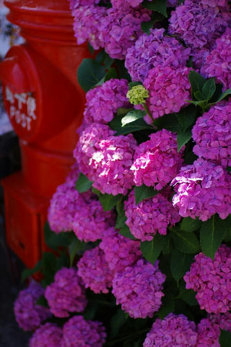 20130615