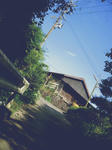 ikumi02.jpg