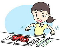 Food poisoning ・ Food pollution ・ Sanitary supervision