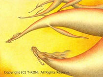 Mermaid picture ・ Mermaid illustration ・ Beautiful mermaid ・ Fantasy ・ Colored pencil picture