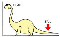 Long tail ・ Long tail business ・ Web theory of evolution ・ Web2.0