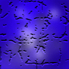 Material for website