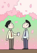 Cherry blossoms, row of cherry blossoms, petal, feast, and enjoying seeing cherry blossom