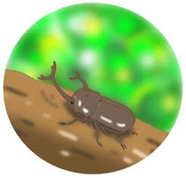 Summer feature during beetle and summer vacation in summer