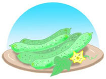 Food of cucumber and summer feature and summer in summer