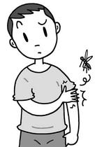 Sticking of insect and itchy, Eruption, Swelling, Harmful insect prevention