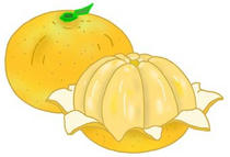 Mandarin orange, Ehime mandarin orange, and fruit