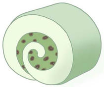 Roll cake, cake, Sweet cake, sweets, and cream