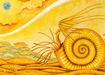 Fantasy illustration and pictures - Memory of ammonite