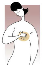 Breast cancer, Mastitis, Mastopathy, Young breast cancer