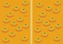 Free book jacket design 「Simple illustration - Mandarin orange 「Orange」」