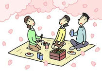 Enjoying seeing cherry blossom, Cherry blossoms tree, Visit of spring, Event of spring