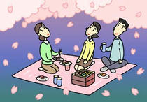 Enjoying seeing cherry blossom, Cherry blossoms, Cherry blossoms in the evening, Event of spring