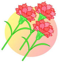 Mother's Day, Carnation, Red carnation, Present on Mother's Day, Mother's Day gift, Thanks to mother
