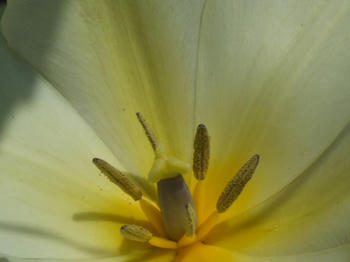 2009_05060068.JPG