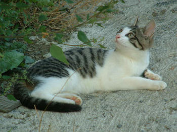 040906c.jpg