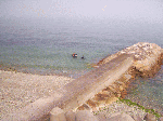 ballenasumi003.gif