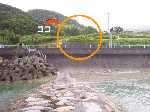 ballenasumi004.gif