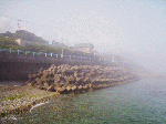 ballenasumi005.gif