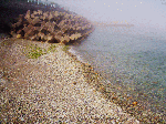 bellenasumi005.gif