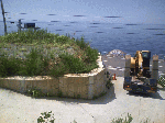 image1.gif