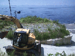 image3.gif