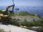 image5.gif