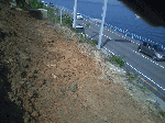 tako005.gif