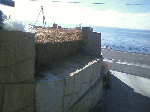 image0010.gif