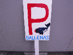image37.gif