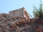 balle82006.gif