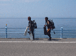 balle82007.gif