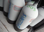 ballenas89001.JPG