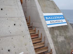 ballenas89005.JPG