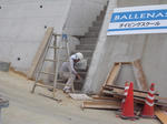 balle811.JPG