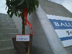 c3683944.gif