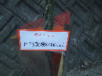 66cf47d2.gif