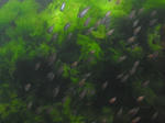 suityubale0096.JPG