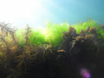 suityubale0092.JPG