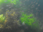 suityubale0097.JPG