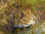 suityubale0093.JPG