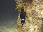 suityubale0094.JPG