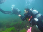 20100904-009.JPG