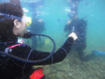 20100904-008.JPG