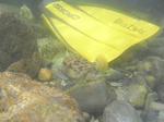 20100904-007.JPG