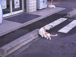 20100907003.JPG